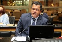 Morte de baleias e turismo de observação são temas de debate na Alesc