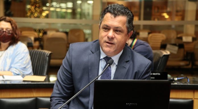 Morte de baleias e turismo de observação são temas de debate na Alesc