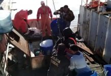 Polícia Federal (PF) cumpre mandados de prisão em Penha e Navegantes