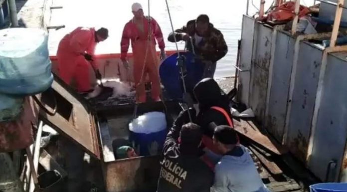 Polícia Federal (PF) cumpre mandados de prisão em Penha e Navegantes