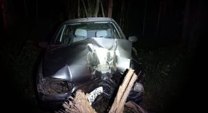 whatsapp image 2021 09 26 at 07.11.23 1068x580 1