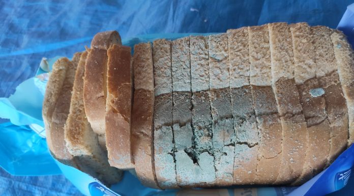 Mercado de Balneário Piçarras vende pão mofado para cliente