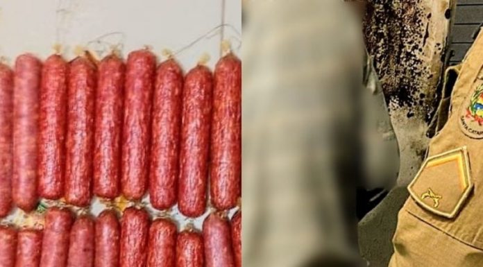 Ladrão quebra parede para furtar salame de mercado em Penha