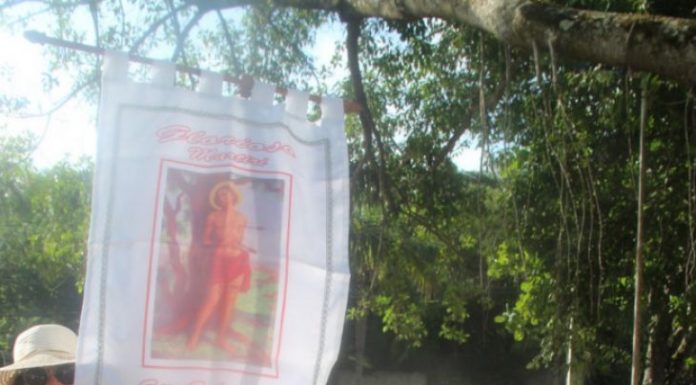 Penha confirma tradicional puxada do Mastro de São Sebastião neste domingo