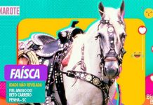 Cavalo Faísca do Beto Carrero participa da estreia do Reality Show Big Brother na Globo
