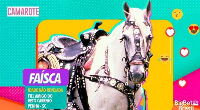 Cavalo Faísca do Beto Carrero participa da estreia do Reality Show Big Brother na Globo