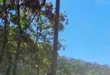 Moradora cobra pavimentação da Rua João de Freitas no Bairro Santa Lídia
