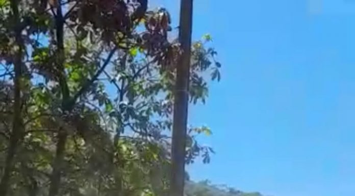 Moradora cobra pavimentação da Rua João de Freitas no Bairro Santa Lídia