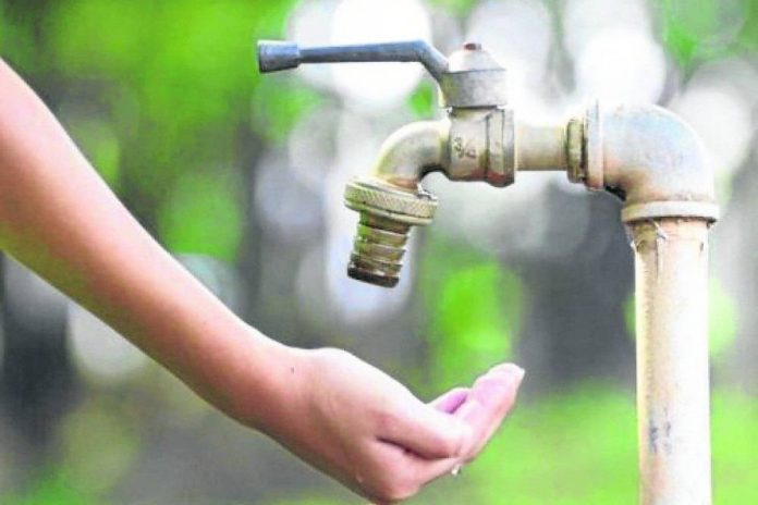 pri_2908_0660_19cm_cor-6829812