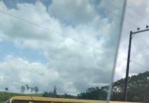 SUSTO Ônibus que transportava alunos de Balneário Piçarras perde o controle