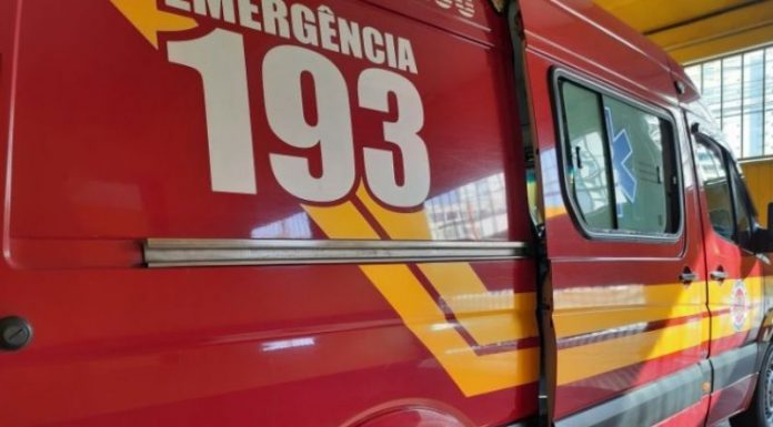 Andarilho morre em lixeira às margens da BR 101 em Itajai