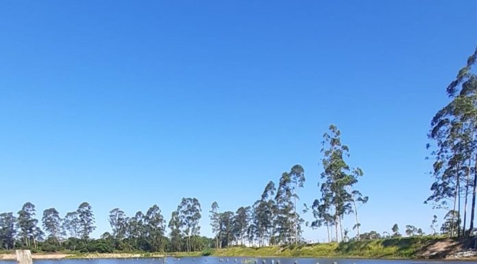 Novos estudos da Águas de Penha ampliam conhecimento sobre a capacidade da lagoa do bairro Santa Lídia