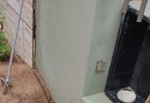 Filhote de gato é resgatado de encanamento na Rua São Bento do Sul em Piçarras