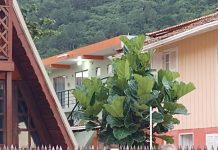 Homem é detido por moradores da Prainha de São Miguel por assediar menores de idade