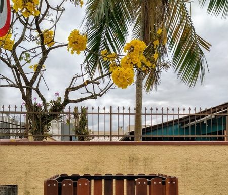 Moradores de Balneário Piçarras podem pedir instalação de lixeira especial