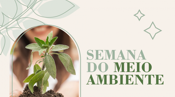 Conasa Águas de Itapema realiza ações para celebrar o Dia Mundial do Meio Ambiente