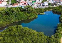 Voluntários da Associação da Praia Alegre promovem mutirão de limpeza da Lagoa Quinca Ludo