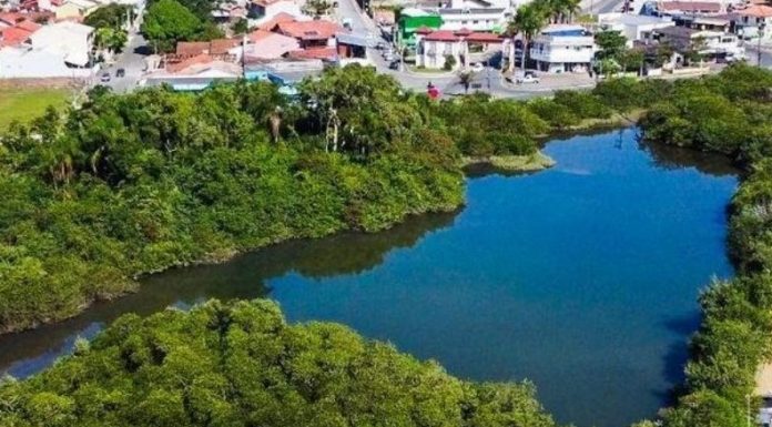 Voluntários da Associação da Praia Alegre promovem mutirão de limpeza da Lagoa Quinca Ludo