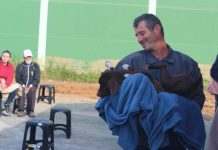 Mais de 150 animais são castrados em mutirão realizado em Balneário Piçarras