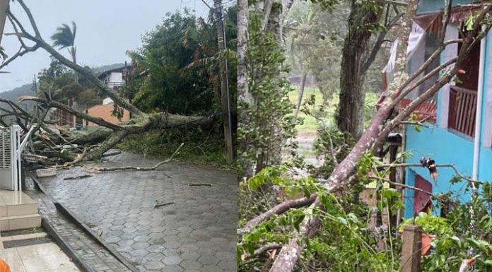 Moradores de Penha e Piçarras podem sacar o FGTS a partir desta semana. Confira as datas