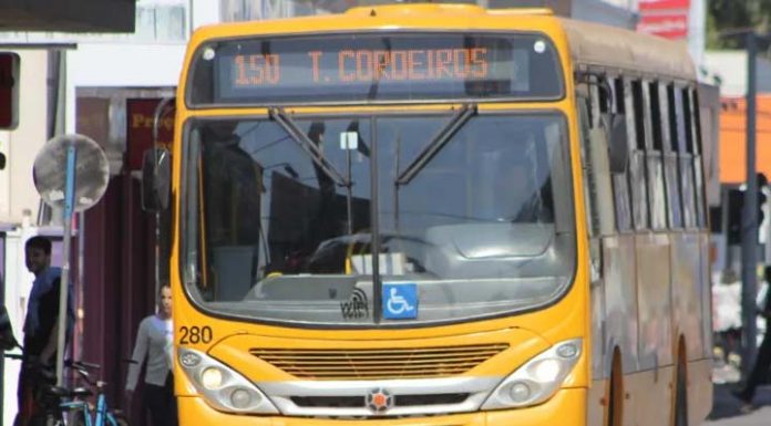Transporte coletivo de Itajaí terá horário especial neste domingo (2) de Eleições