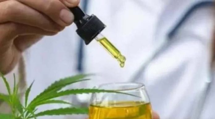 Casal de Penha vai plantar maconha para tratar filho autista