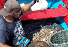 Família lamenta um ano da morte do pescador de Penha Gilberto Militão