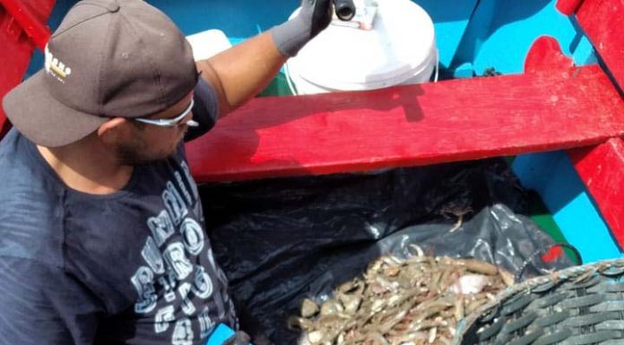 Família lamenta um ano da morte do pescador de Penha Gilberto Militão