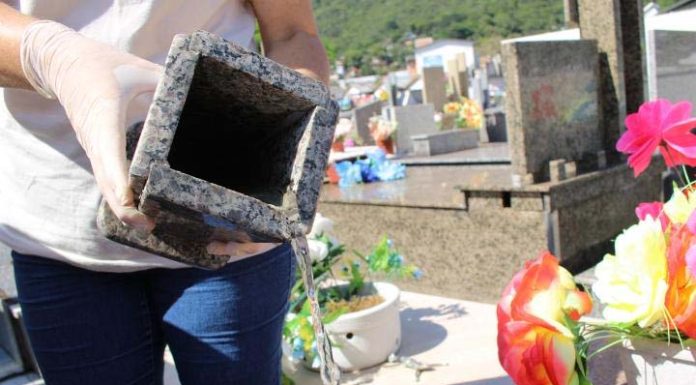 Limpeza de sepulturas ajuda a evitar a proliferação do mosquito da dengue