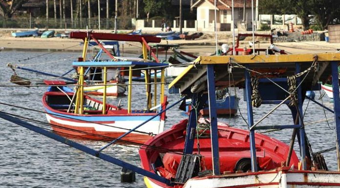 Festa Nacional do Mar (Fenamar) é confirmada para 2023