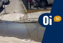 Comerciante denuncia riscos de dengue com água acumulada na Avenida Nereu Ramos