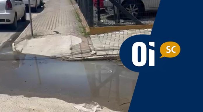 Comerciante denuncia riscos de dengue com água acumulada na Avenida Nereu Ramos