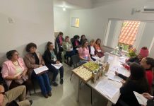 Conheça os membros empossados pelo Conselho Municipal dos Direitos da Mulher
