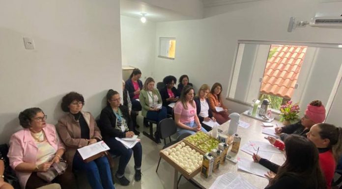 Conheça os membros empossados pelo Conselho Municipal dos Direitos da Mulher