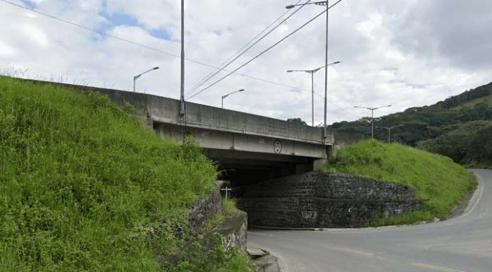 Manifestantes Pró-Bolsonaro anunciam protesto no viaduto de Santa Lídia