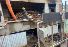 Construção que armazenava pinus e eucalipto é atingida por incêndio em Itapema
