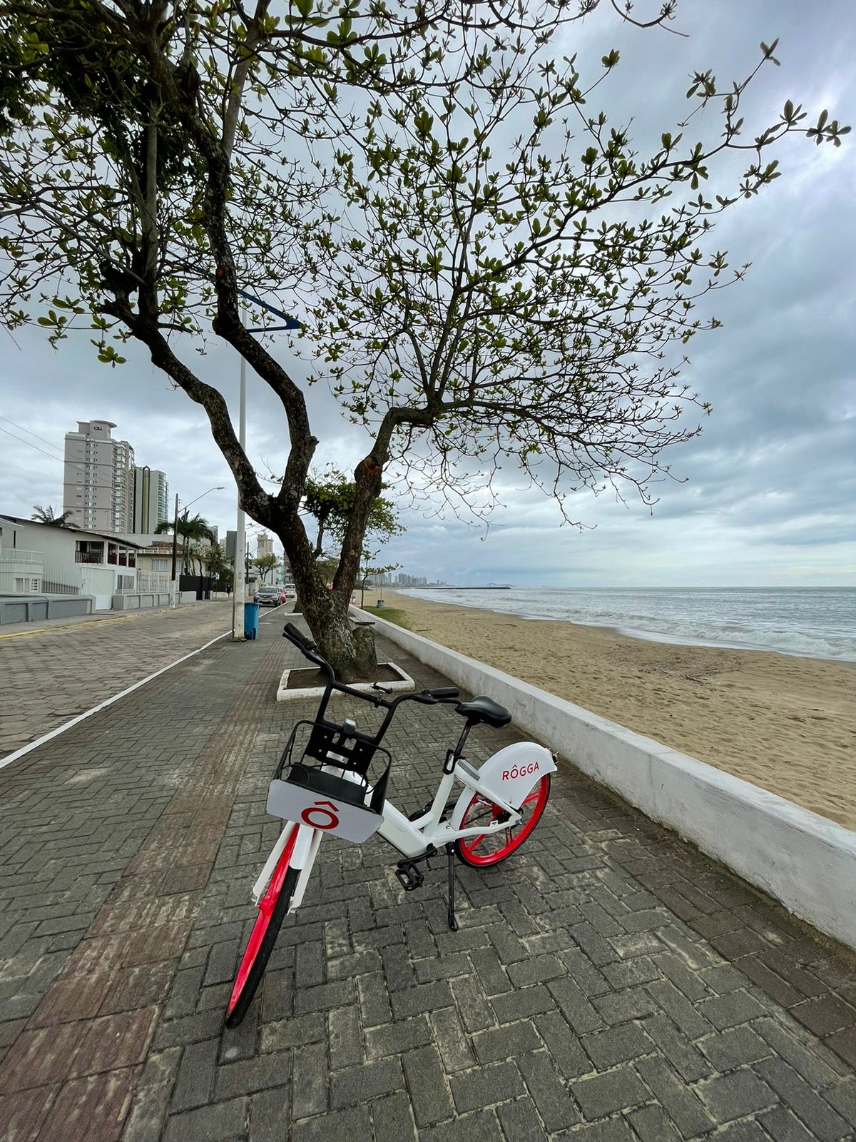 Bicicletas eletricas