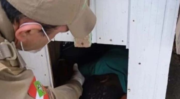 ‘Pai’ abandona família e mãe coloca criança para dormir em casinha do cachorro