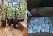 Grupo que traficava drogas em sites e redes sociais é alvo de operação da polícia