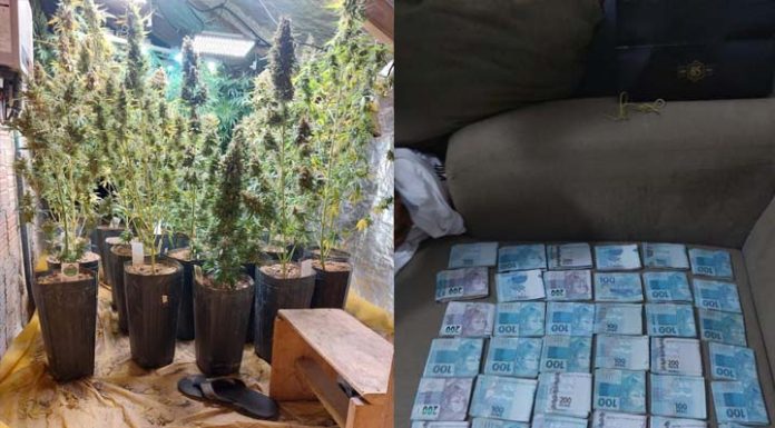 Grupo que traficava drogas em sites e redes sociais é alvo de operação da polícia