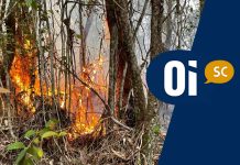 VÍDEO: Incêndio destrói área equivalente a mais de três campos de futebol em Itajaí