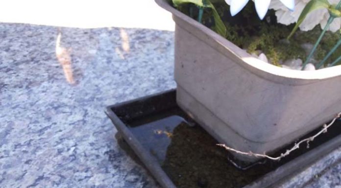 Saúde de Piçarras promove mutirão de limpeza no cemitério nesta sexta-feira