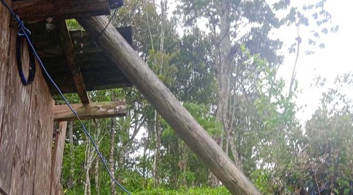 Poste improvisado cai sobre telhado da casa de uma moradora do CRED