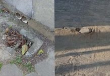Moradores da Praia Alegre reclamam da falta de manutenção na Rua Sérgio Antônio Leandro
