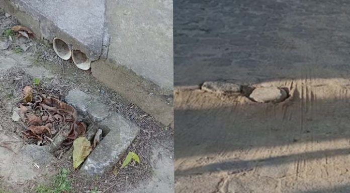 Moradores da Praia Alegre reclamam da falta de manutenção na Rua Sérgio Antônio Leandro