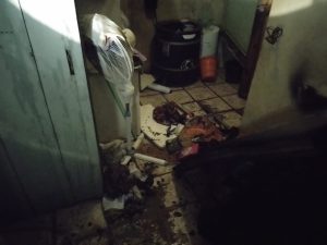 WhatsApp Image 2022 11 20 at 09.32.53 1