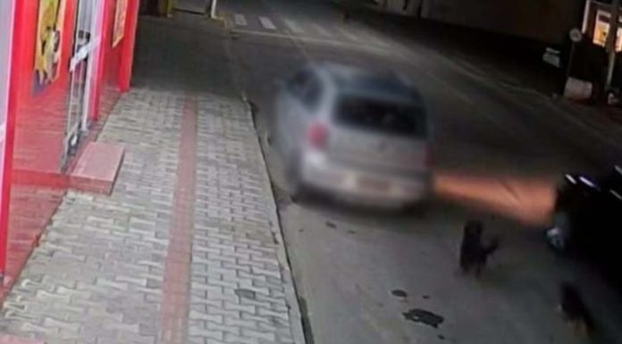 Câmeras flagram carro abandonando três cachorrinhos no centro de Penha