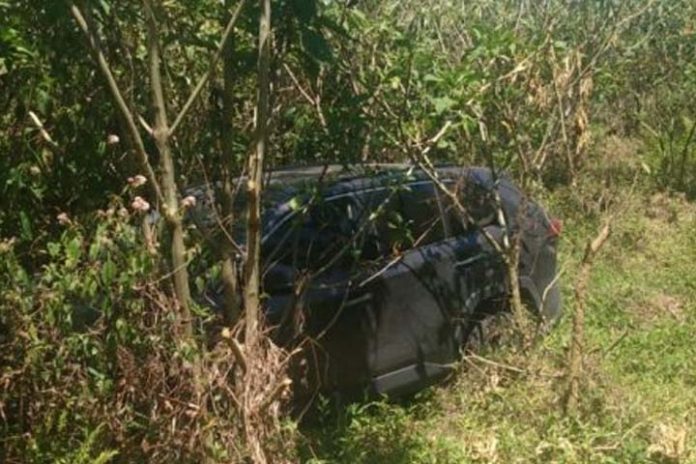 carro matagal
