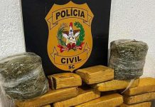 Polícia Civil prende traficante com 17 quilos de drogas em Barra Velha