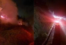 Incêndio florestal atinge às margens da BR-101 em Itapema